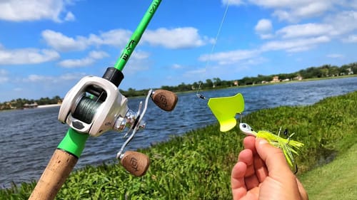 WEIRD Buzzbait Actually Catches BIG Bass!