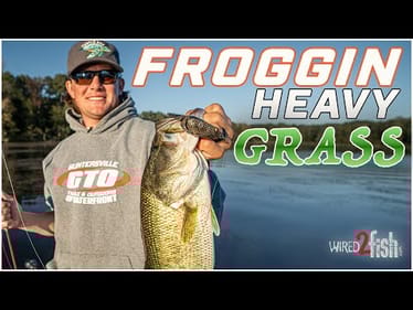 How to Frog the Thick Stuff with Cal Lane