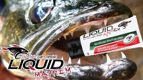 Iaconelli On Liquid Mayhem Fish Attractant Scents