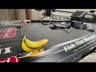 Do Superstitions Affect Your Bass Fishing?