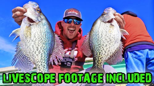 How to Catch BIG CRAPPIE Using GARMIN LIVESCOPE! (INSANE)