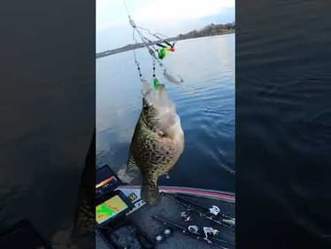 Fishing with the crappie chandelier