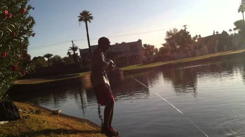 Winter Bass Fishing With Jerkbaits
