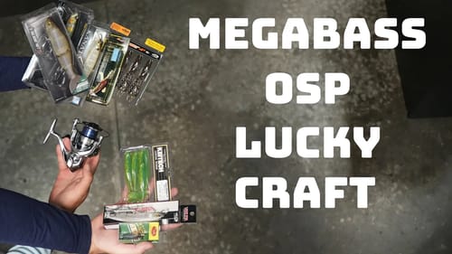 What's New This Week! New Megabass Lures, OSP Restock, Lucky Craft And More!