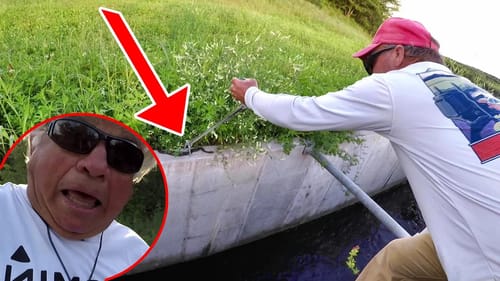 We Found A New Pet For Mr. Jimmy! (Dangerous???)