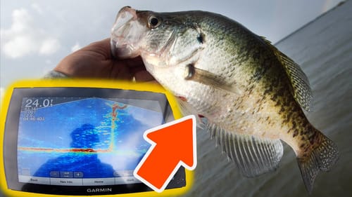 Livescope Fishing for SLAB Crappie (First Time Use AMAZING!)