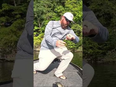 That's How You Know Its The Perfect Bait! 😱 #shorts