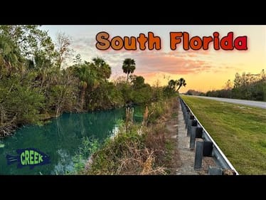 Is Fishing Here EASY?