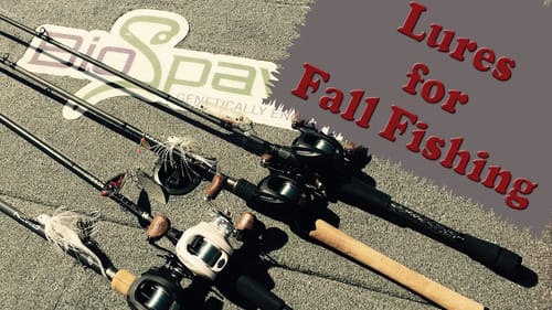 Bass Fishing Lures for Fall Fishing