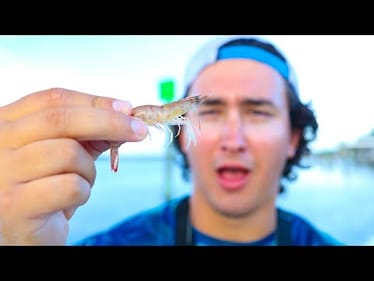 Live Shrimp Challenge (Loser EATS Live Shrimp!)