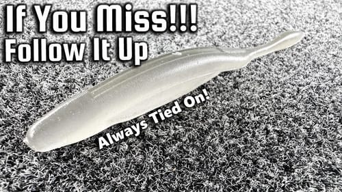 Miss a Bass? Then Follow Up With This!