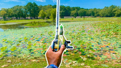 TOPWATER FROG Fishing (Finding new ponds)