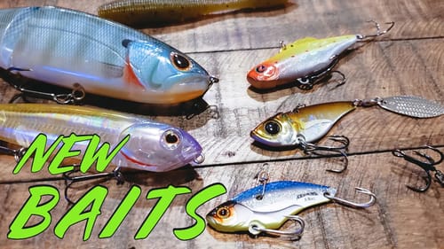 Fall Bass Fishing Buyer's Guide!