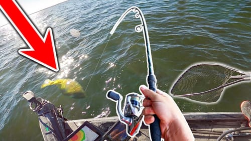 I Caught the LAKE RECORD Bass we've Been Chasing!!