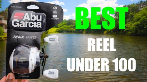Abu Garcia Max Pro Review (Baitcaster Under $100)
