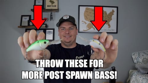 The 5 Best Post Spawn Baits you need to catch more Bass!