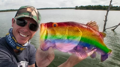 Why are Bass Becoming Transgender?