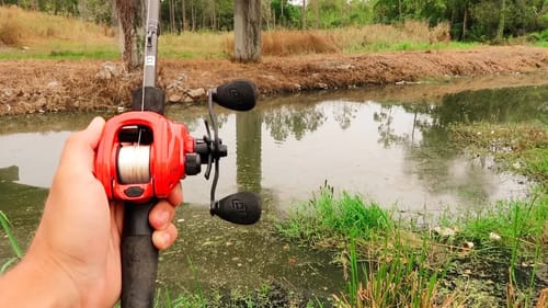 Fishing a SKETCHY Canal!!! (Surprise Catch)