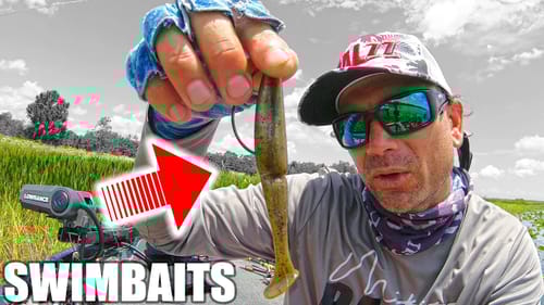 Types of SWIMBAITS you NEED to Know for Summer Bass Fishing + Rigging