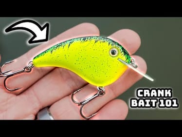 Learn To Fish A CRANKBAIT In 2025! (Bass Fishing Masterclass)