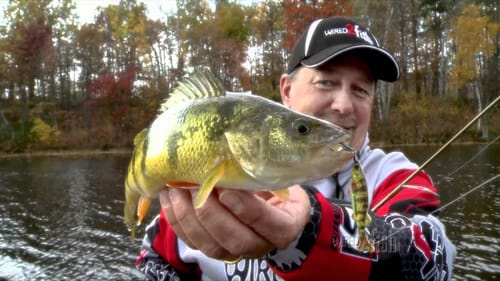 How to Choose the Right Fishing Line