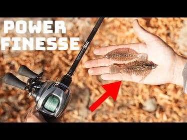 This Japanese Bluegill Bait Is Perfect For Power Finesse Fishing!