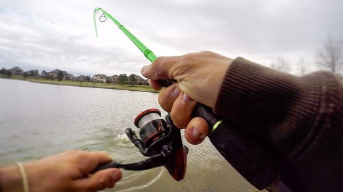 HUGE SURPRISE CAUGHT while CRAPPIE FISHING!!