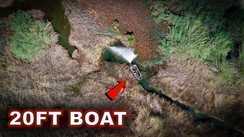 Bass Moving Shallow? No Problem With These Baits!