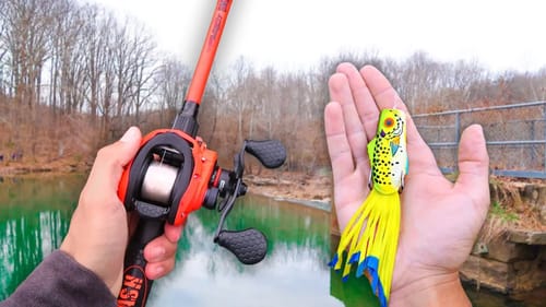 Catching GIANT Bass w/ FROGS! (RECORD Bank Fishing Day)