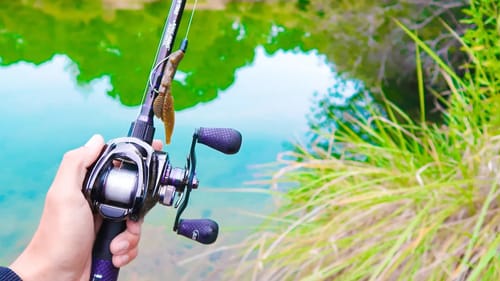 Catching GIANT Bass in Ultra CLEAR Water (Lake Fishing)