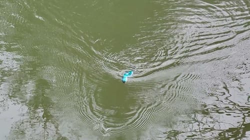 Swimbait Review: Illude / Lunker Fighter Gas Rat