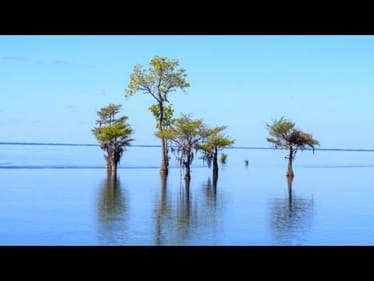 My Favorite And Least Favorite Lakes By State...South Carolina