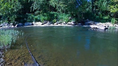 Fishing A SUPER CLEAR River
