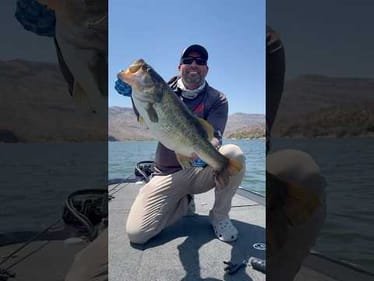 10 pounder??