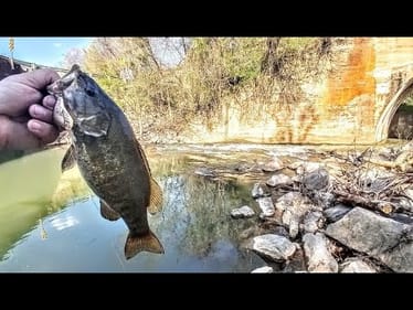 INCREDIBLE DAY!!  CREEK FISHING FOR BIG PRE SPAWN SMALLIES