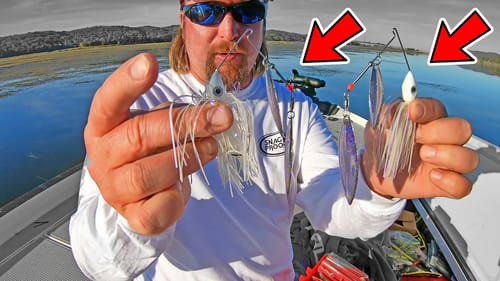 You NEVER Knew this About SPINNERBAITS (JT Kenney Winter Fishing Tips)