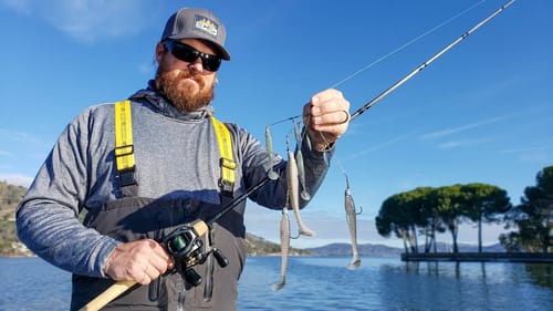 Cold Water A-Rigs Tricks For Bass