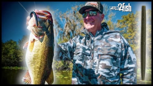 Catch More Cold Front Bass with Downsized Texas Rigs