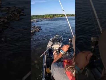 Big Susquehanna SmallMouth eats a Helgramite