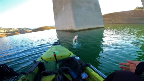 Tournament on New Melones