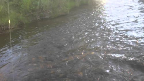 Lost Lake Trout Fishing