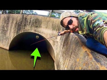 GIANT FISH are IN THE TUNNELS!!
