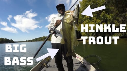 Texas Bass Love Eating Big Glide Baits! Fishing Big Swimbaits In Texas!