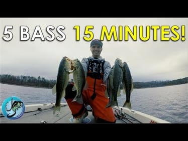 How to Pattern Fish for Bass | This Video Will Change How You Fish