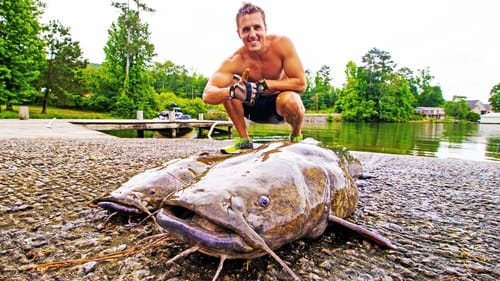 NOODLING For MONSTER CATFISH On The BIG G! (INSANE)