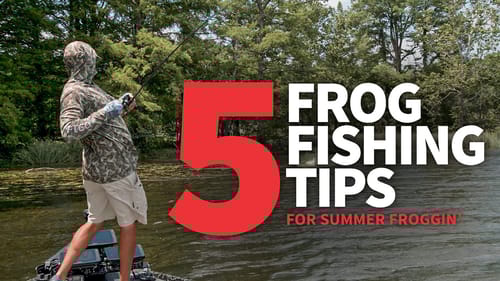 5 TIPS for Summer FROGGIN'