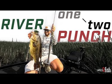 The One-Two Punch that CRUSHES River Bass