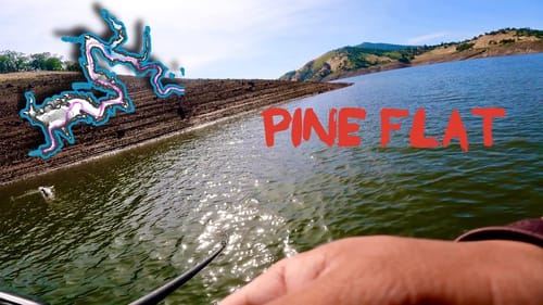 Insane Topwater Bite