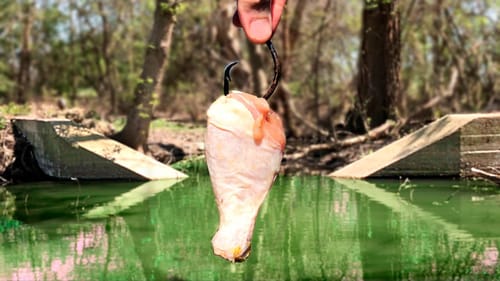 I Did NOT Expect to Catch THAT with THIS Bait!!! (Pond Monster!)