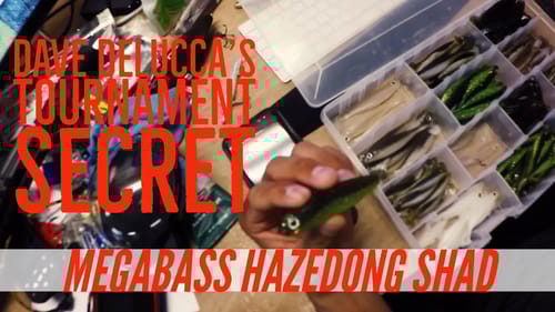 Megabass Hazedong Shad Tournament Results from Dave Delucca